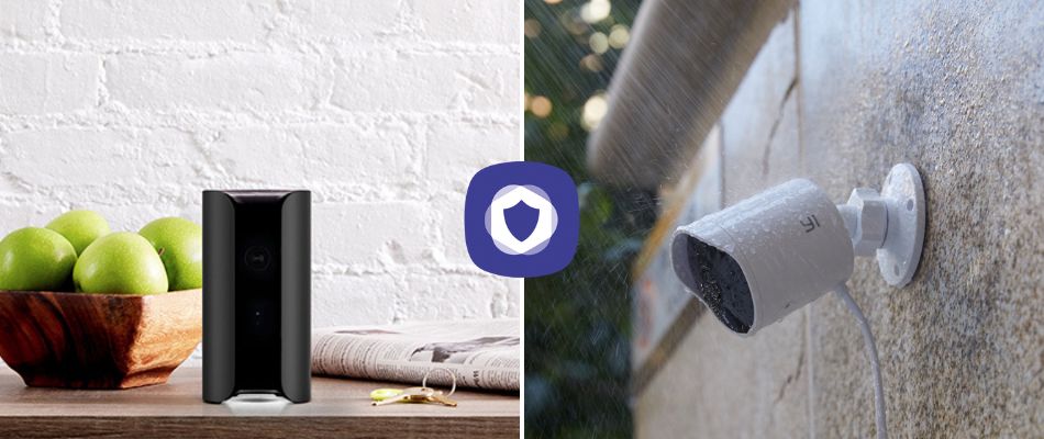 Canary vs YI Cameras