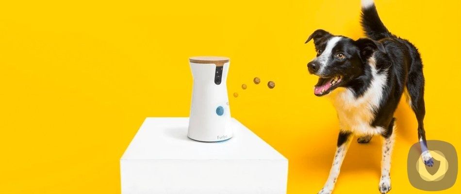 Furbo camera