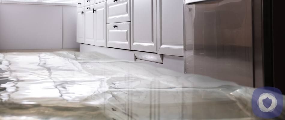 Kitchen water leak