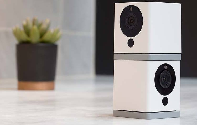 Stacked wyze cameras